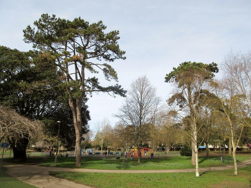a photo of Homefield Park in Worthing showing large conifers and other trees
