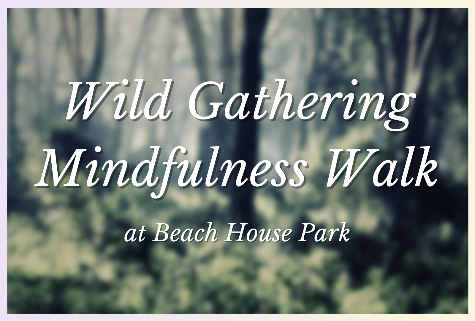 A Forest background with the words 'Wild Gathering Mindfulness Walk' overlaid