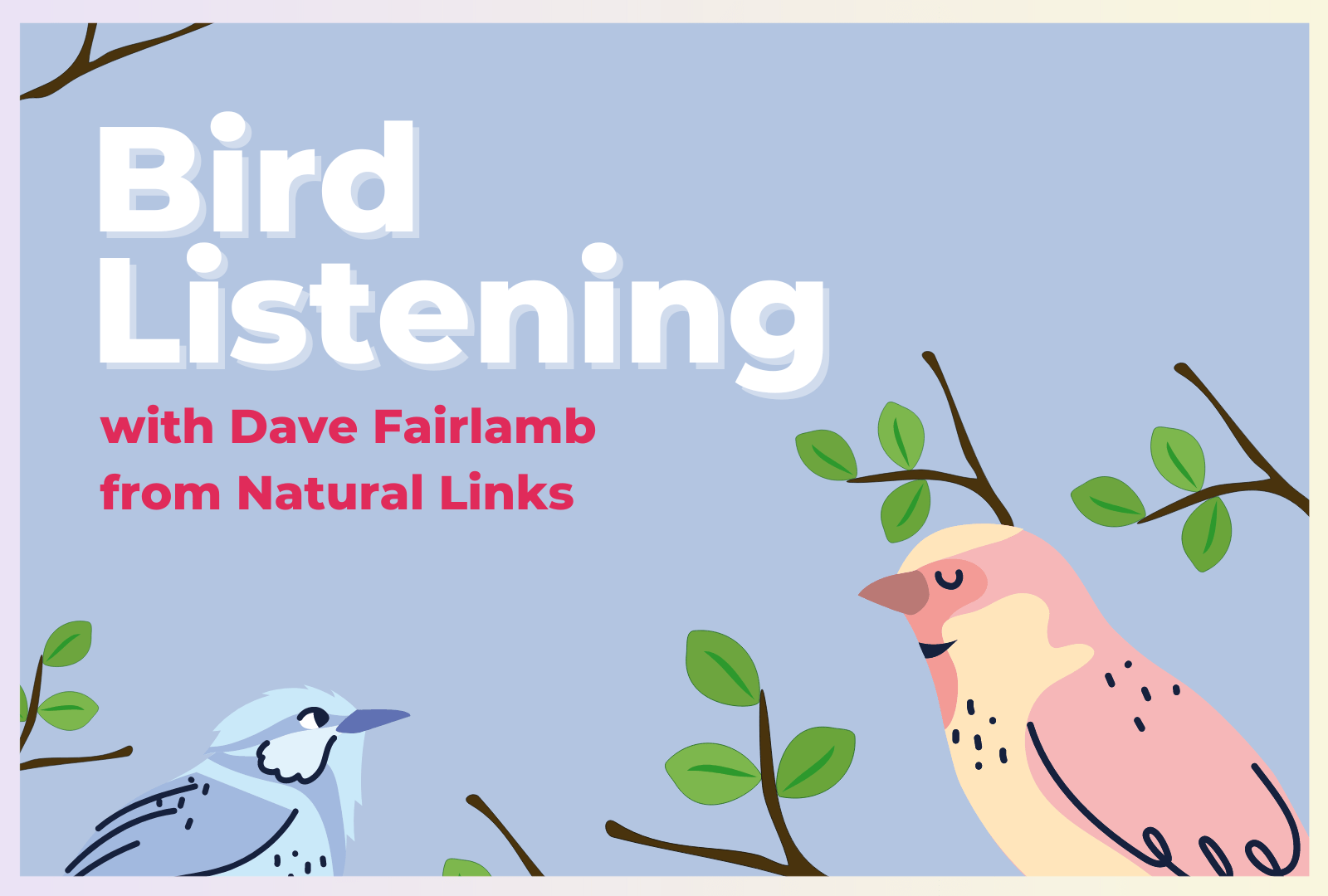 Cartoon Birds with the words 'Bird Listening with Dave Fairlamb of Natural Links' overlaid.