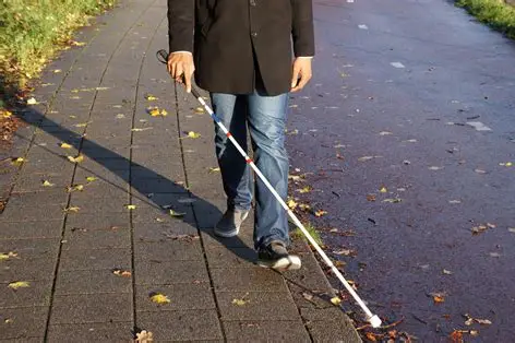 Someone using a long white cane between the pavement and the road.